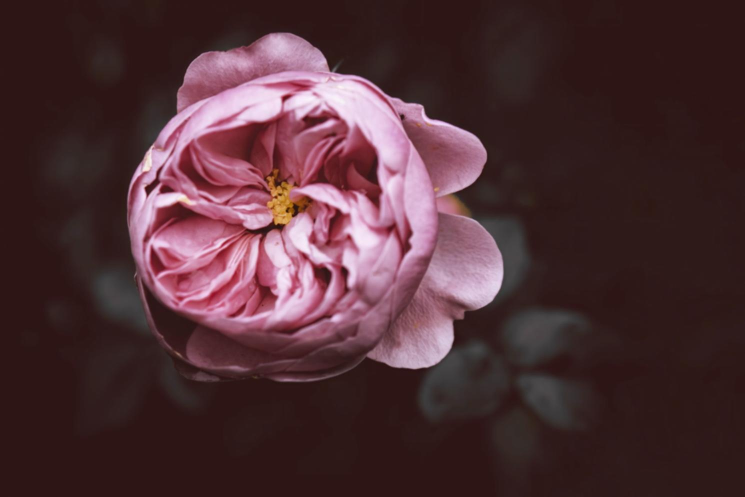 Workshop cover image